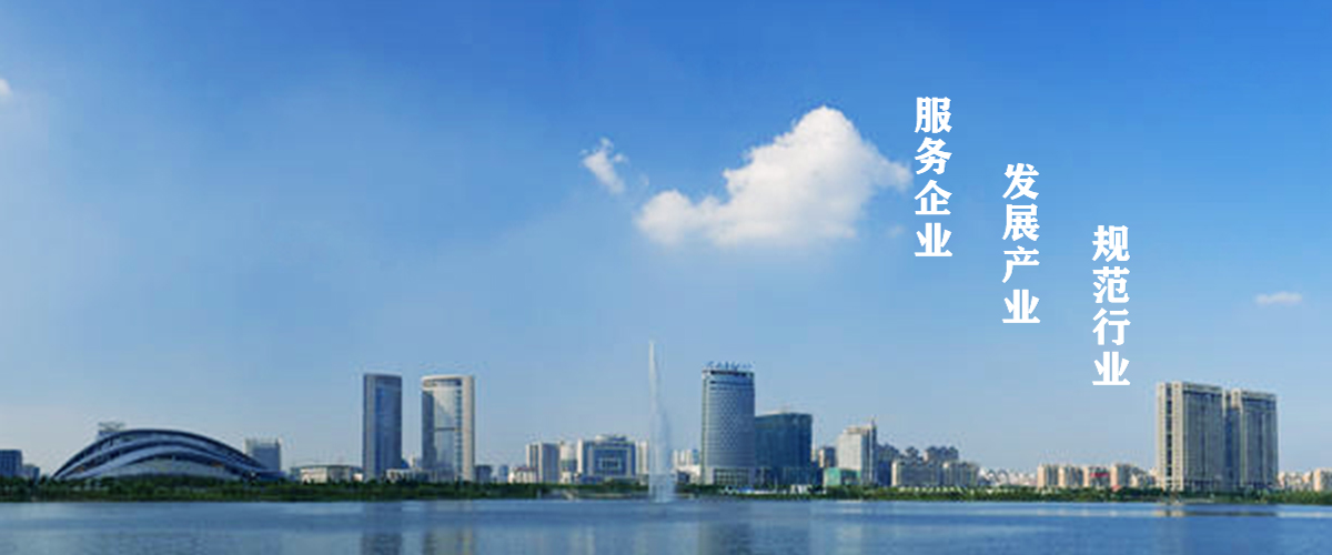 第二届大会