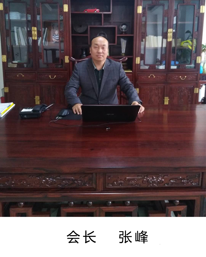 协会组织结构