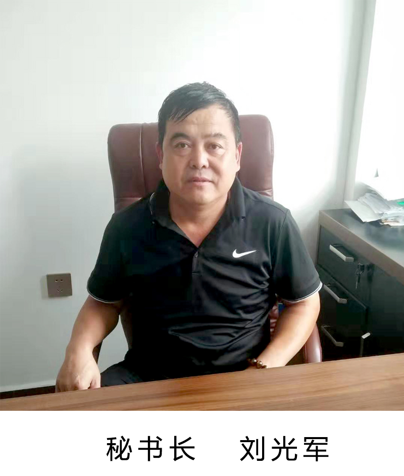 协会组织结构
