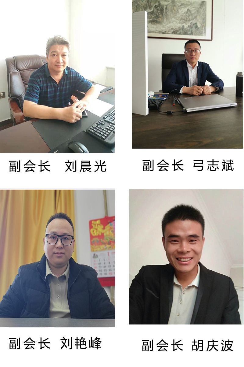 协会组织结构